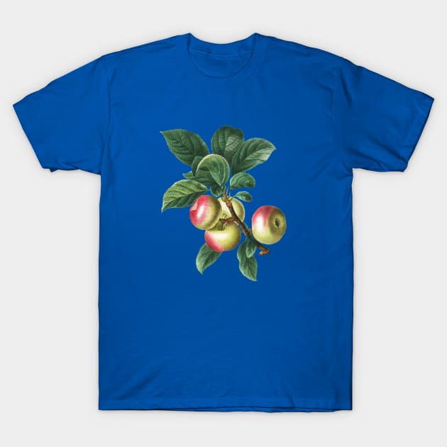 Vintage Apple Botanical Illustration T-Shirt by Holy Rock Design